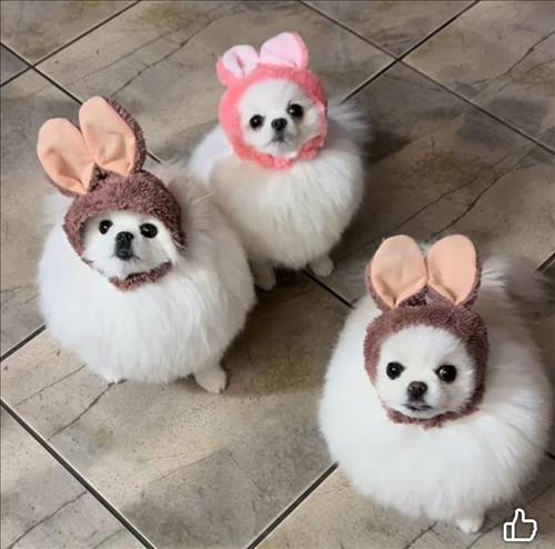 hẹn hò - Say, you do-Les -Tuổi:41 - Độc thân-TP Hồ Chí Minh-Người yêu lâu dài