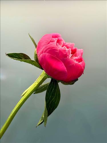 hẹn hò - Vyvy-Lesbian -Age:30 - Single-TP Hồ Chí Minh-Short Term - Best dating website, dating with vietnamese person, finding girlfriend, boyfriend.