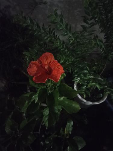 Khoảng Lặng
