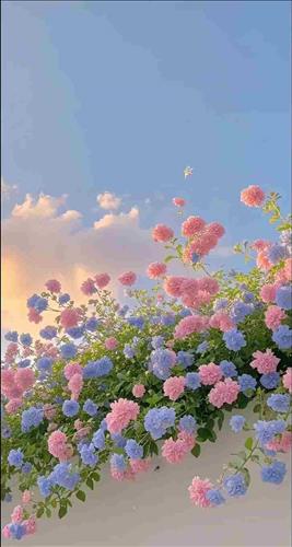 hẹn hò - Anh-Les -Tuổi:36 - Độc thân-TP Hồ Chí Minh-Người yêu lâu dài