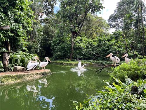 hẹn hò - Thien An-Les -Tuổi:40 - Độc thân-TP Hồ Chí Minh-Người yêu lâu dài