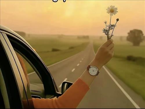 hẹn hò - BÌNH YÊN...nhé!-Les -Tuổi:42 - Độc thân-TP Hồ Chí Minh-Tìm bạn bè mới