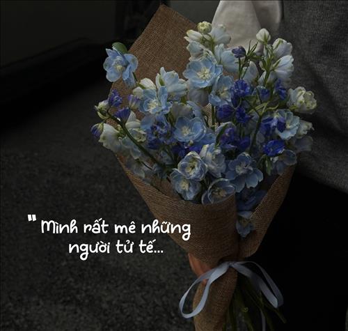 Hoa cỏ lau