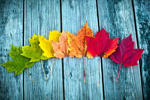 Autumn 