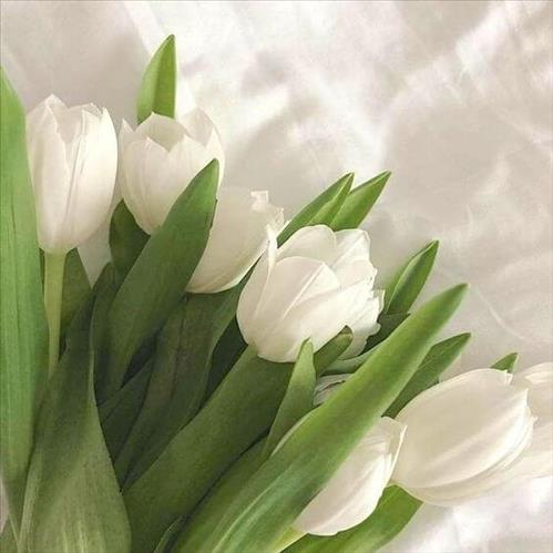 hẹn hò - Six-Les -Tuổi:26 - Độc thân-TP Hồ Chí Minh-Người yêu lâu dài