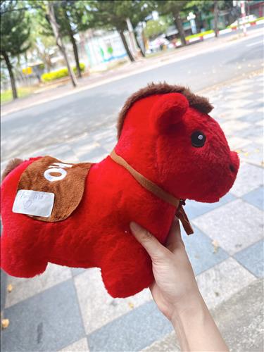 hẹn hò - Thiên Thư-Les -Tuổi:31 - Độc thân-Bà Rịa - Vũng Tàu-Người yêu lâu dài