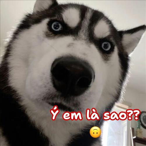 hẹn hò - T-Lesbian -Age:35 - Has Lover-TP Hồ Chí Minh-Confidential Friend - Best dating website, dating with vietnamese person, finding girlfriend, boyfriend.