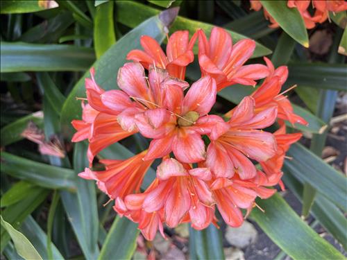 hẹn hò - Jim-Les -Tuổi:35 - Độc thân-Hà Nội-Người yêu lâu dài