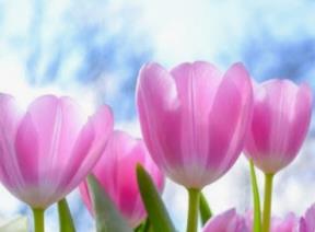 hẹn hò - Bé 30t-Les -Tuổi:30 - Độc thân-TP Hồ Chí Minh-Tìm bạn tâm sự