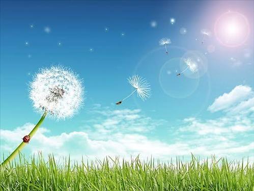 hẹn hò - Ren-Les -Tuổi:29 - Độc thân-Đồng Tháp-Người yêu lâu dài