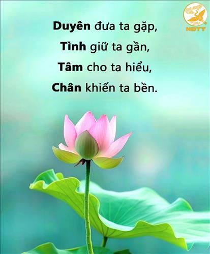 Hoa Bằng Lăng 9x