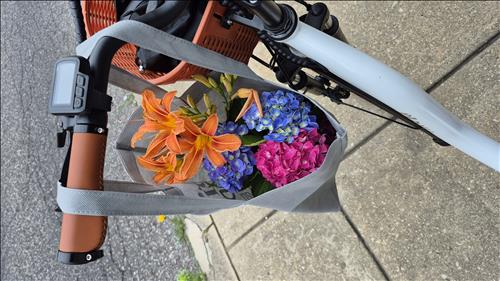 hẹn hò - Mây-Les -Tuổi:34 - Độc thân--Tìm bạn bè mới