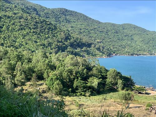 hẹn hò - Lãng đãng mây trôi-Lesbian -Age:44 - Divorce-TP Hồ Chí Minh-Lover - Best dating website, dating with vietnamese person, finding girlfriend, boyfriend.