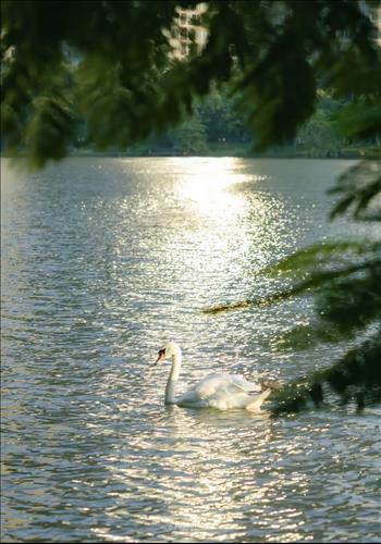 hẹn hò - Mao Lương-Lesbian -Age:39 - Single-TP Hồ Chí Minh-Friend - Best dating website, dating with vietnamese person, finding girlfriend, boyfriend.