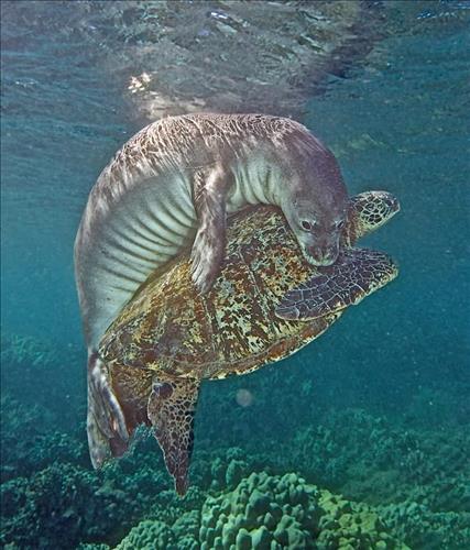 hẹn hò - Jolie-Les -Tuổi:50 - Độc thân-TP Hồ Chí Minh-Người yêu lâu dài