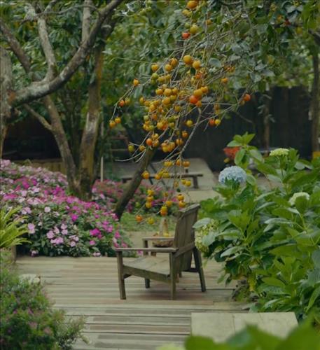 hẹn hò - Mưa-Les -Tuổi:43 - Độc thân-Bình Dương-Tìm bạn bè mới