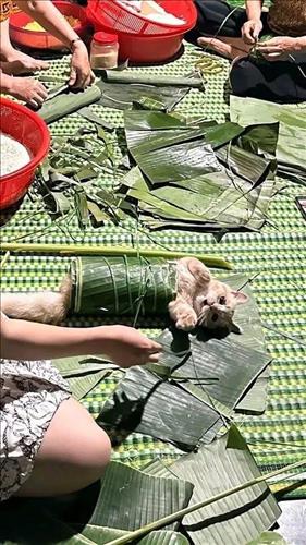 hẹn hò - Tẻn-Les -Tuổi:27 - Độc thân-Đồng Nai-Người yêu lâu dài