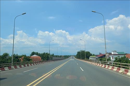 Cúc Hoạ Mi