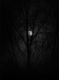 hẹn hò - Hạnh-Nữ -Tuổi:33 - Đã có gia đình-Quảng Nam-Tìm bạn tâm sự