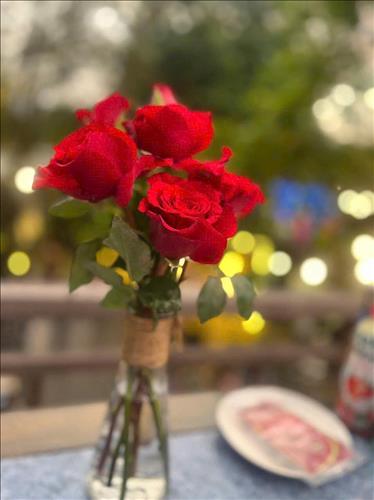 Tình Yêu Không Vội