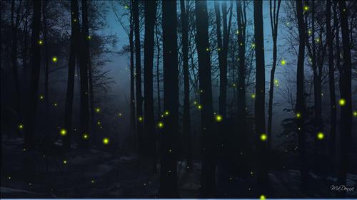 Firefly