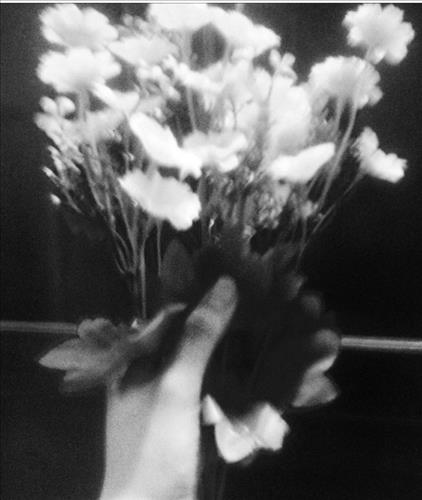 hẹn hò - Ary..Nhã yên!-Les -Tuổi:19 - Đang có người yêu-An Giang-Tìm bạn bè mới