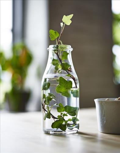 hẹn hò - Simplicity-Les -Tuổi:38 - Độc thân-TP Hồ Chí Minh-Tìm bạn bè mới