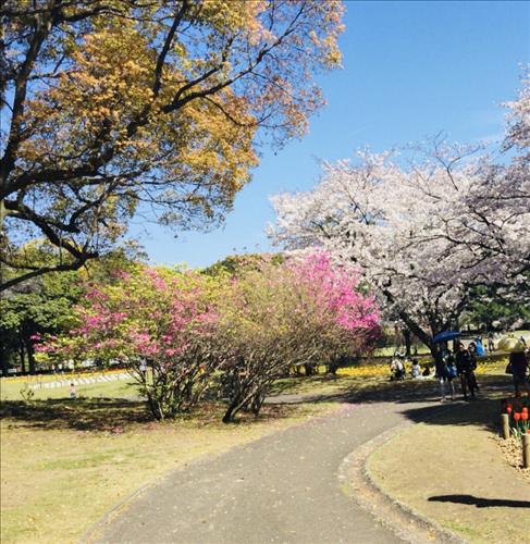 hẹn hò - Nguyen-Les -Tuổi:38 - Độc thân-TP Hồ Chí Minh-Tìm bạn tâm sự