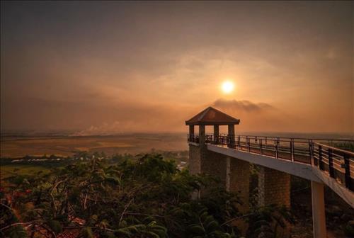 Cá Heo Nhỏ