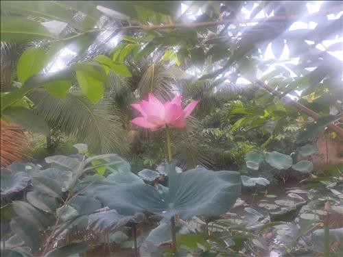 hẹn hò - Tamdieu-Les -Tuổi:30 - Độc thân-TP Hồ Chí Minh-Người yêu lâu dài