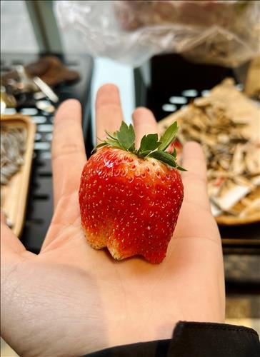 hẹn hò - Scorpion -Les -Tuổi:38 - Độc thân-Hà Nội-Tìm bạn bè mới