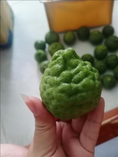 hẹn hò - Thiên Bình -Les -Tuổi:39 - Độc thân-TP Hồ Chí Minh-Người yêu lâu dài