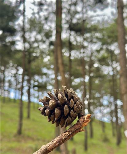 hẹn hò - Thuy Vu Tran Nguyen-Les -Tuổi:41 - Độc thân-TP Hồ Chí Minh-Người yêu lâu dài