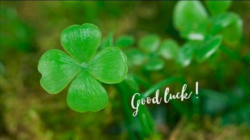 hẹn hò - Bản tình cuối-Lesbian -Age:40 - Single-Hà Nội-Lover - Best dating website, dating with vietnamese person, finding girlfriend, boyfriend.