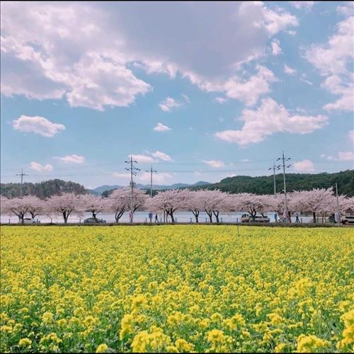 Người yêu lâu dài