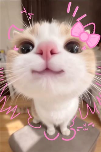 hẹn hò - Minine-Les -Tuổi:33 - Độc thân-TP Hồ Chí Minh-Tìm bạn tâm sự