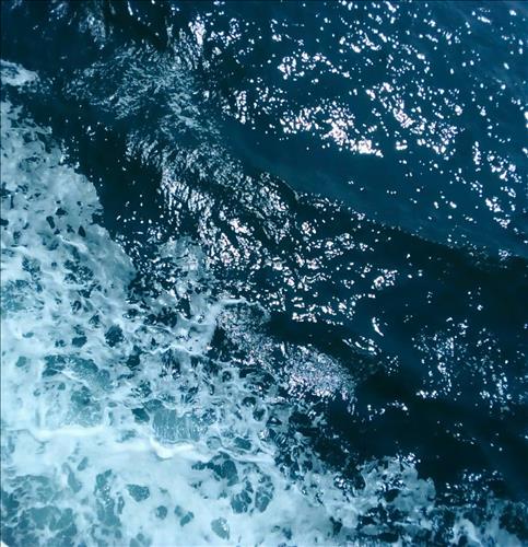 hẹn hò - Phạm Ngọc -Les -Tuổi:26 - Độc thân-Bình Dương-Người yêu lâu dài