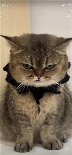 hẹn hò - Trăng Sáng-Les -Tuổi:38 - Độc thân-TP Hồ Chí Minh-Tìm bạn bè mới