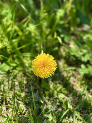 hẹn hò - Peace-Les -Tuổi:41 - Độc thân--Tìm bạn bè mới