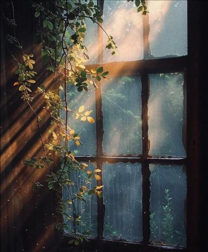 hẹn hò - Demi-Lesbian -Age:42 - Single-TP Hồ Chí Minh-Friend - Best dating website, dating with vietnamese person, finding girlfriend, boyfriend.