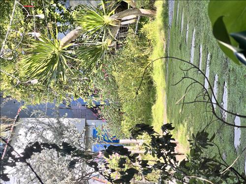 hẹn hò - Thanh Xuân-Lesbian -Age:40 - Married-TP Hồ Chí Minh-Friend - Best dating website, dating with vietnamese person, finding girlfriend, boyfriend.