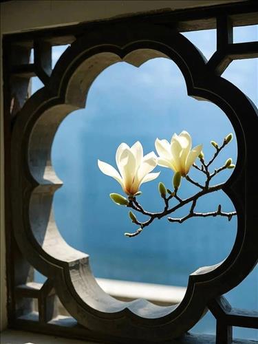 hẹn hò - Ann-Lesbian -Age:33 - Single-Hà Nội-Lover - Best dating website, dating with vietnamese person, finding girlfriend, boyfriend.