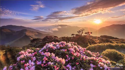 hẹn hò - heri-Les -Tuổi:31 - Độc thân-TP Hồ Chí Minh-Người yêu lâu dài