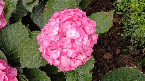 hẹn hò - Jamy-Les -Tuổi:37 - Độc thân-TP Hồ Chí Minh-Người yêu lâu dài