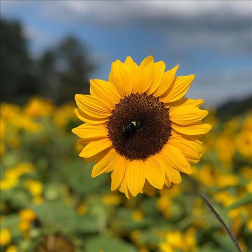 hẹn hò - Winter-Les -Tuổi:29 - Độc thân-TP Hồ Chí Minh-Tìm bạn bè mới