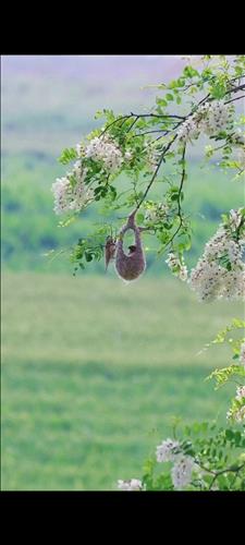 hẹn hò - K-Lesbian -Age:38 - Single-Tiền Giang-Friend - Best dating website, dating with vietnamese person, finding girlfriend, boyfriend.