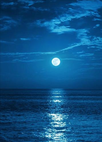 hẹn hò - Shine-Les -Tuổi:42 - Độc thân-TP Hồ Chí Minh-Tìm bạn bè mới