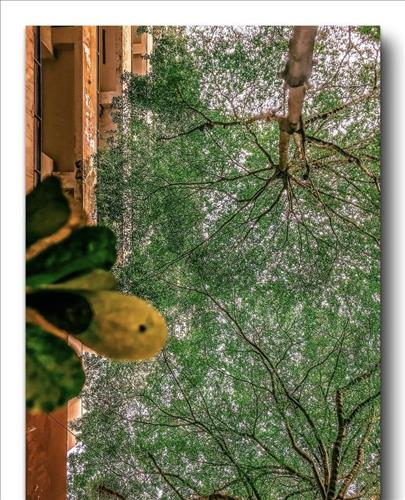 hẹn hò - Mộc-Lesbian -Age:28 - Single-TP Hồ Chí Minh-Friend - Best dating website, dating with vietnamese person, finding girlfriend, boyfriend.