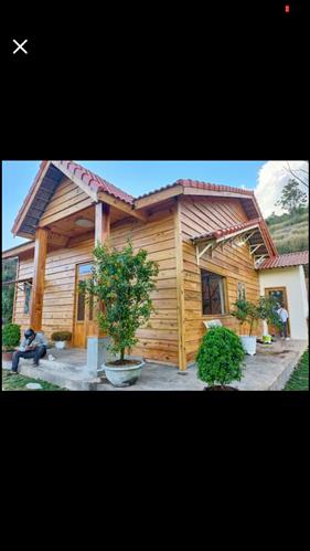 hẹn hò - Ththanh-Les -Tuổi:51 - Độc thân-Lâm Đồng-Tìm bạn tâm sự