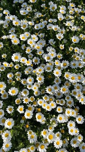 hẹn hò - 1912-Les -Tuổi:38 - Đang có người yêu-Khánh Hòa-Tìm bạn bè mới